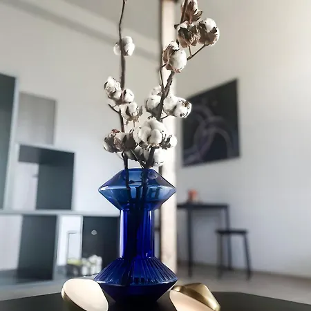 Cotton&loft - Center Appartement
